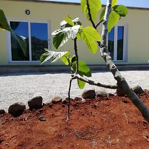 La Casa Dei Fichi Porto Azzurro